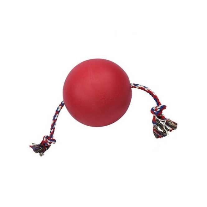 Tuggo Ball - 10 Inch (ca. 25 cm) - von Tigern getestet! – Bild 7