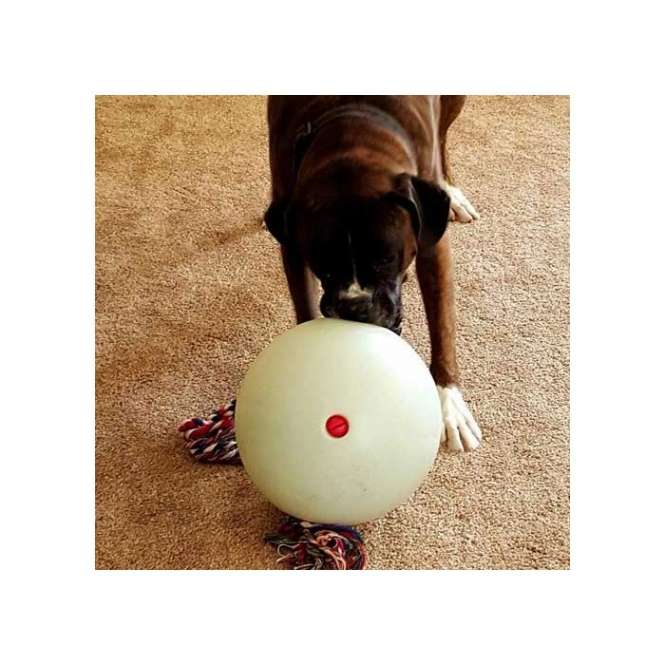 Tuggo Ball - 10 Inch (ca. 25 cm) - von Tigern getestet! – Bild 9
