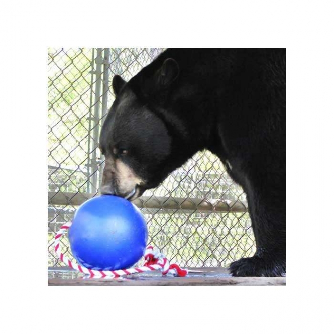 Tuggo Ball - 10 Inch (ca. 25 cm) - von Tigern getestet! – Bild 5