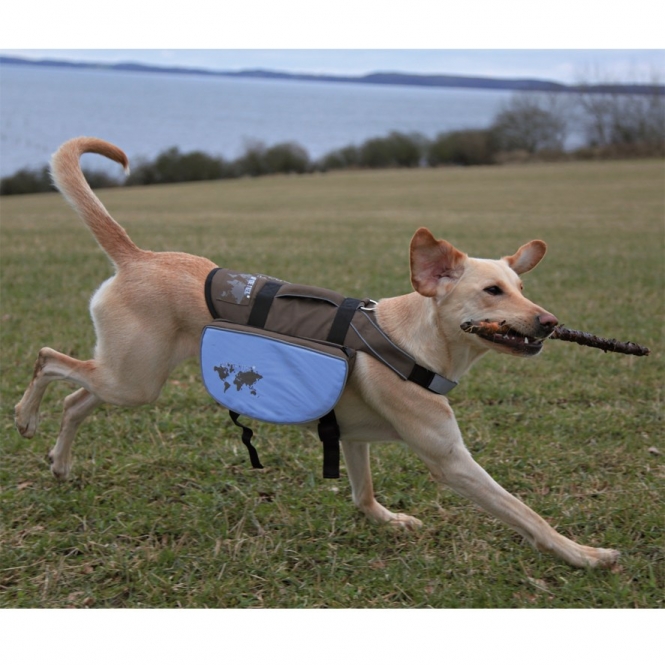 Trixie Rucksack für Hunde – Bild 2