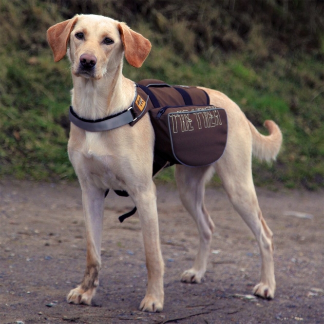 Trixie Rucksack für Hunde – Bild 3
