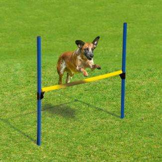 Karlie Fun Agility Starter-Set – Bild 3
