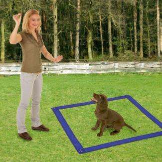 Karlie Fun Agility Starter-Set – Bild 4