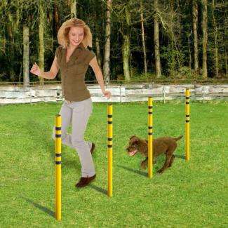 Karlie Fun Agility Starter-Set – Bild 6