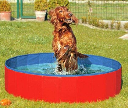 Karlie DOGGY POOL der Swimmingpool für Hunde - Rot-Blau