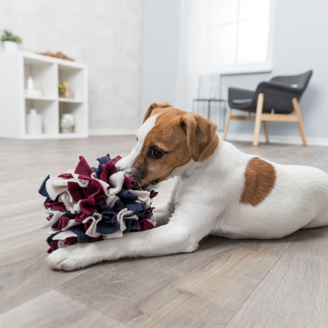 Trixie Schnüffelball für Hunde – Bild 5