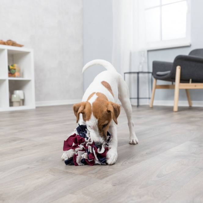 Trixie Schnüffelball für Hunde – Bild 6