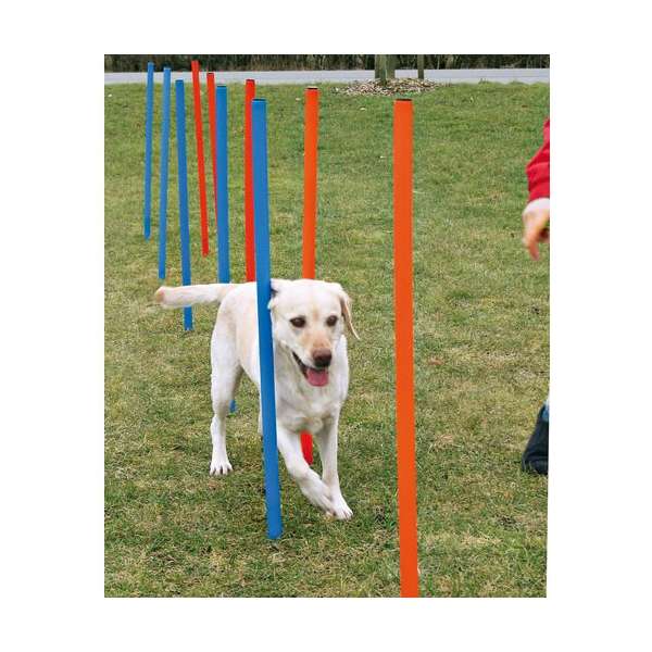 Trixie Agility Slalom – Bild 3