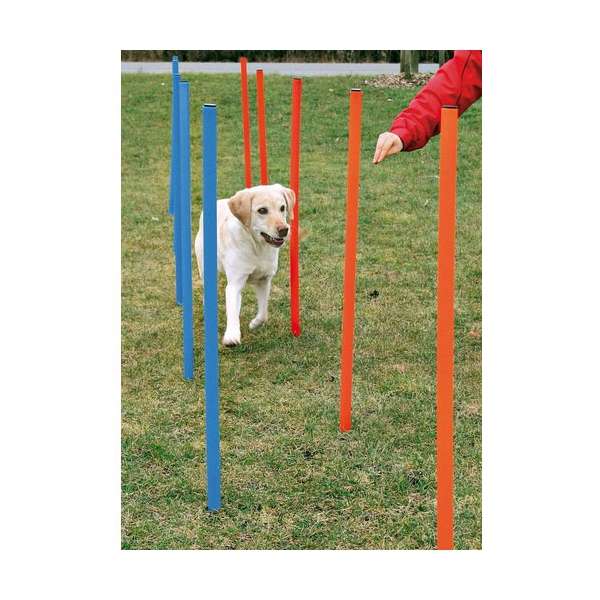 Trixie Agility Slalom – Bild 2