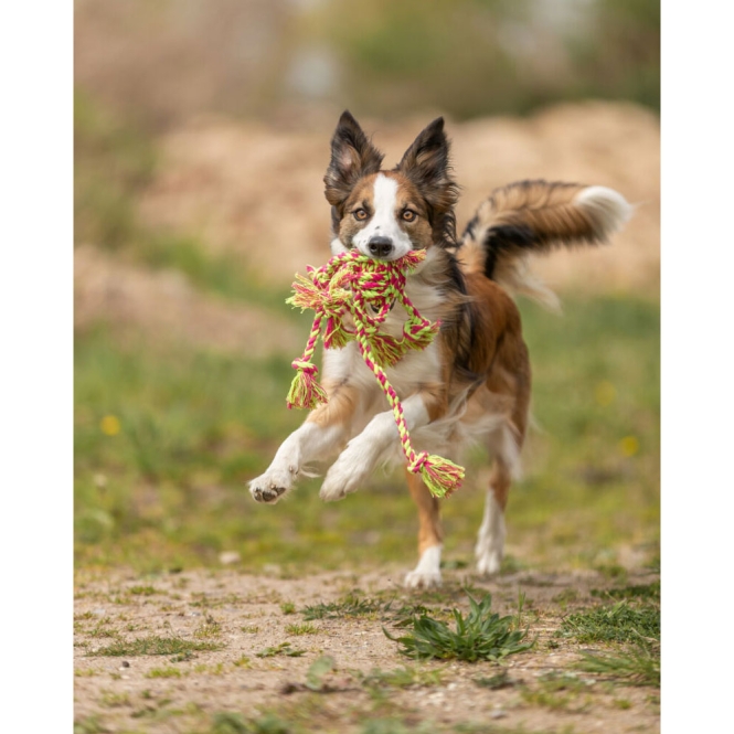 Trixie Tau-Spielzeug – Bild 2