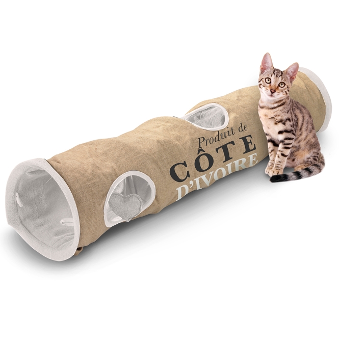 D&D Home Katzentunnel Cote D'Ivoire – Bild 2