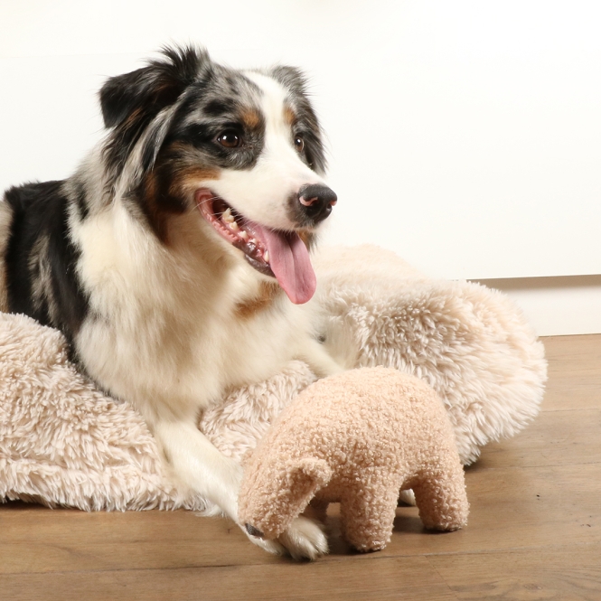 D&D Hundespielzeug Banjo Teddystoff - beige – Bild 3