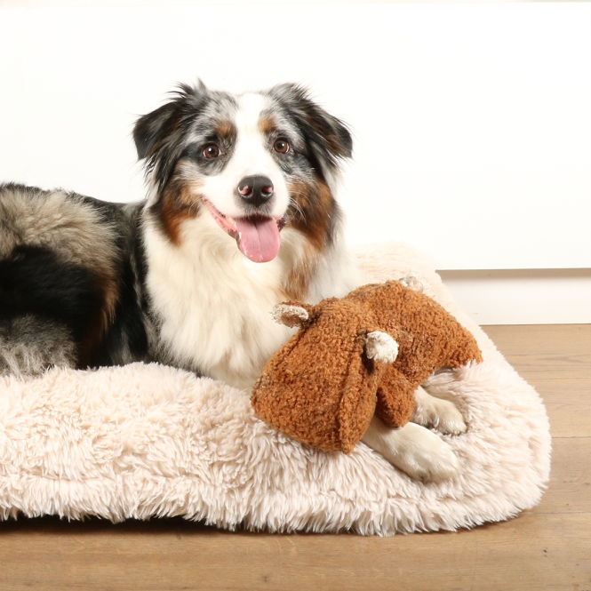 D&D Hundespielzeug Emmy Teddystoff - braun – Bild 3