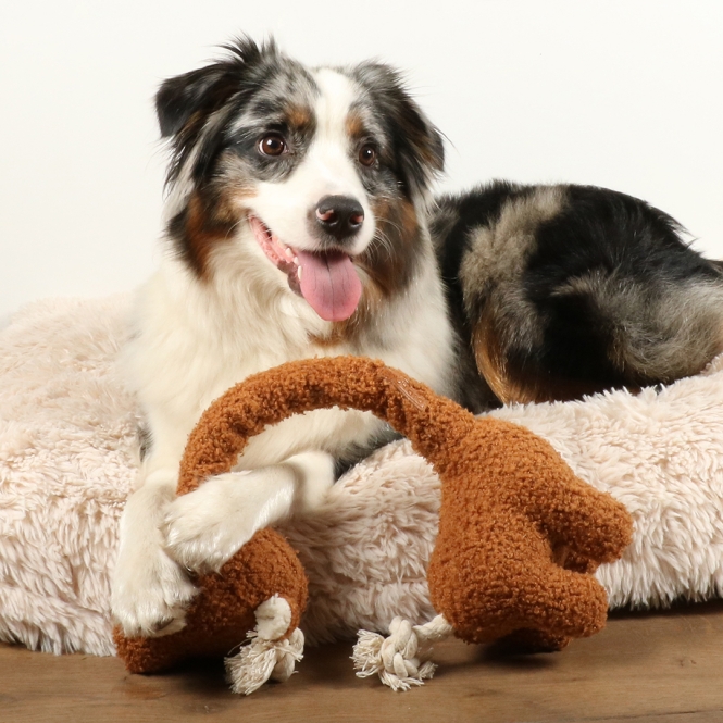 D&D Hundespielzeug George Teddystoff - braun – Bild 3