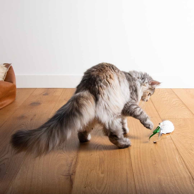 EBI Cat Toy Mouse on the move – Bild 6