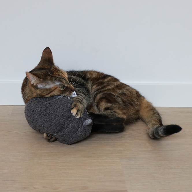 D&D Tretkissen Molly – Bild 3