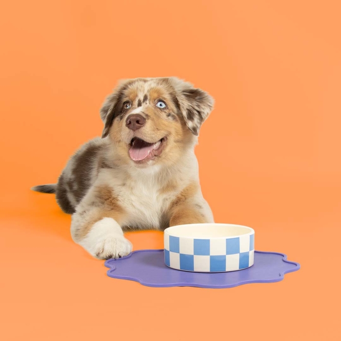 Coockoo Futternapf Checkmate! - blau/weiß – Bild 5