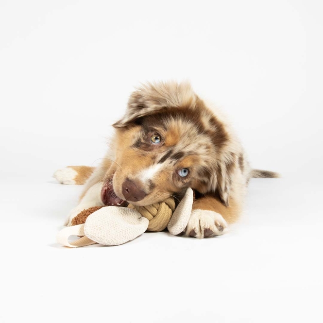 D&D Hundespielzeug Jule - sand – Bild 4