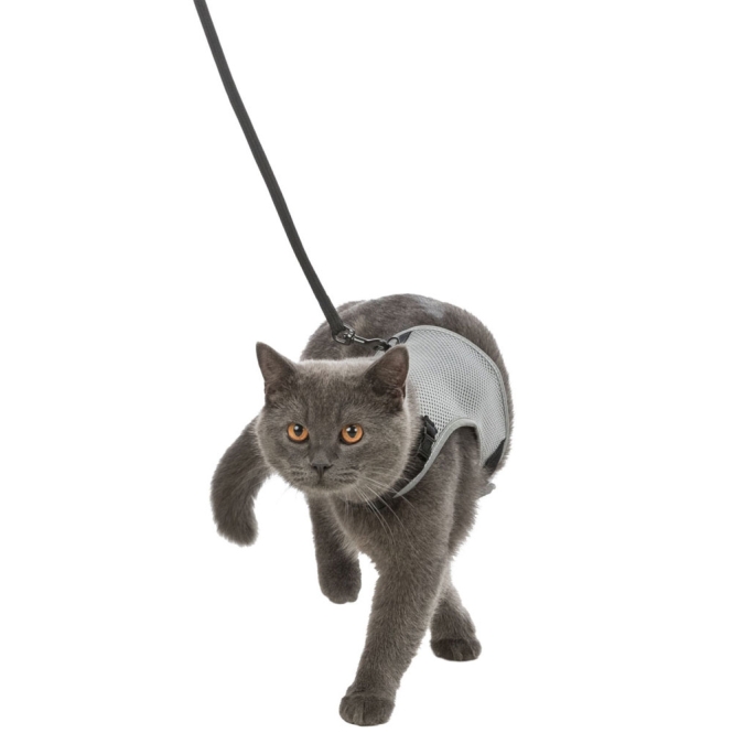 Trixie Katzen-Softgeschirr mit Leine – Bild 6