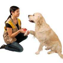 Karlie DOGGY COACH - 3 in 1 – Bild 4