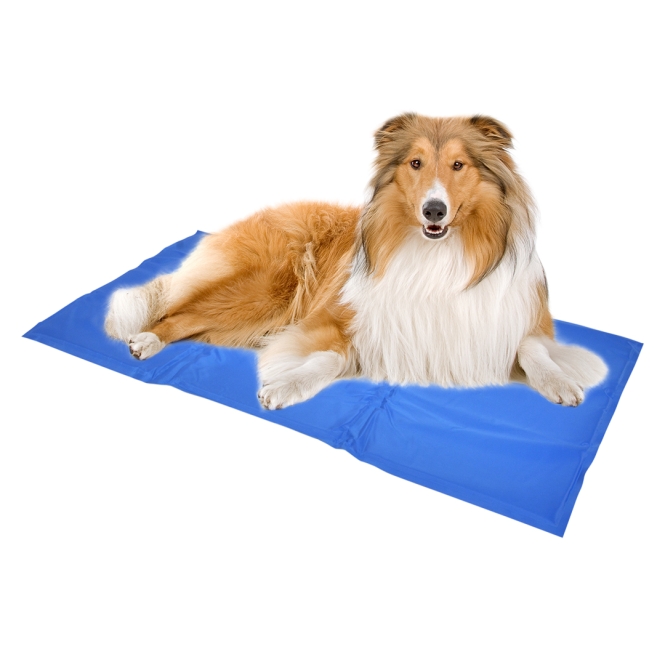 Duvoplus Kühlmatte - Blau – Bild 3