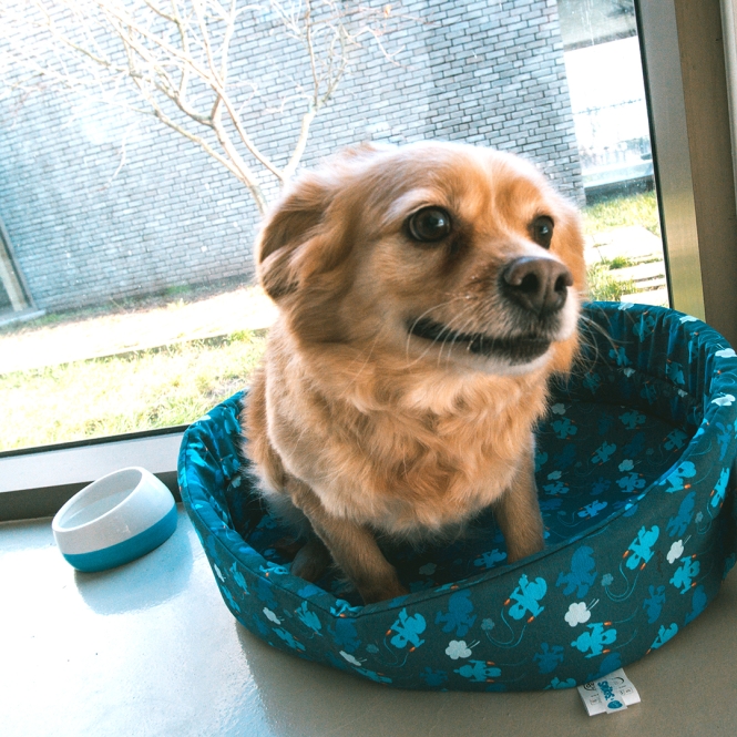 Duvoplus Bett Schlümpfe - oval – Bild 3