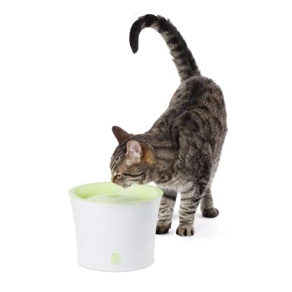 CATIT Fresh & Clear Trinkbrunnen Aktionsset – Bild 2