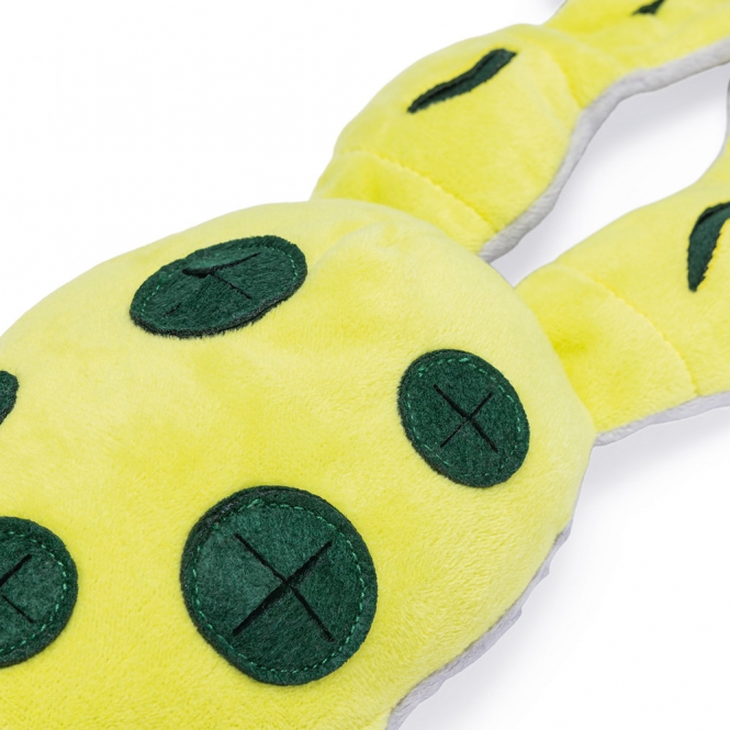 Beeztees Hide And Seek Frosch – Bild 3