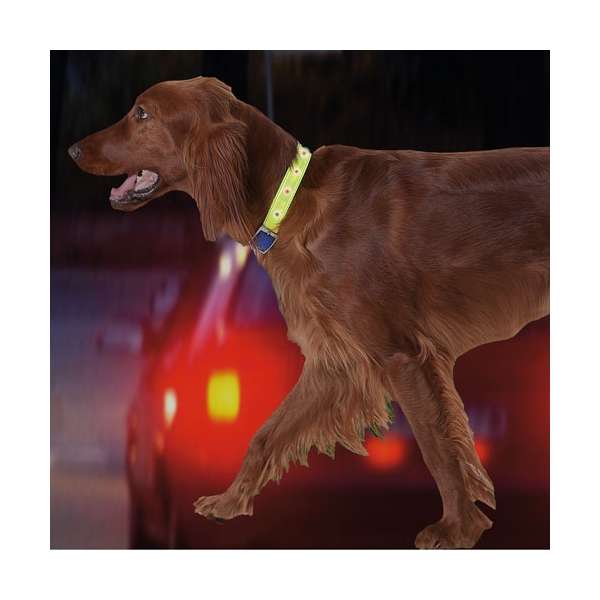 Karlie Safety Light - blinkendes Sicherheitshalsband – Bild 2