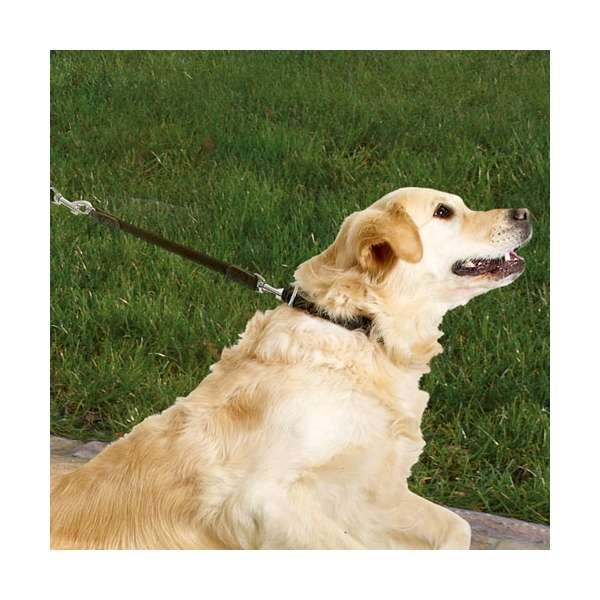 Karlie Protector Plus Hundebremse – Bild 2
