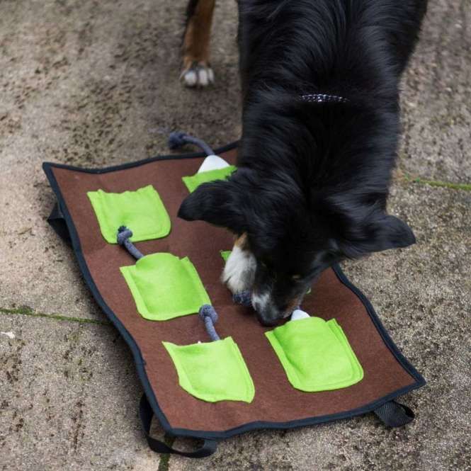 PROCYON Action-Schnüffelmatte – Bild 3