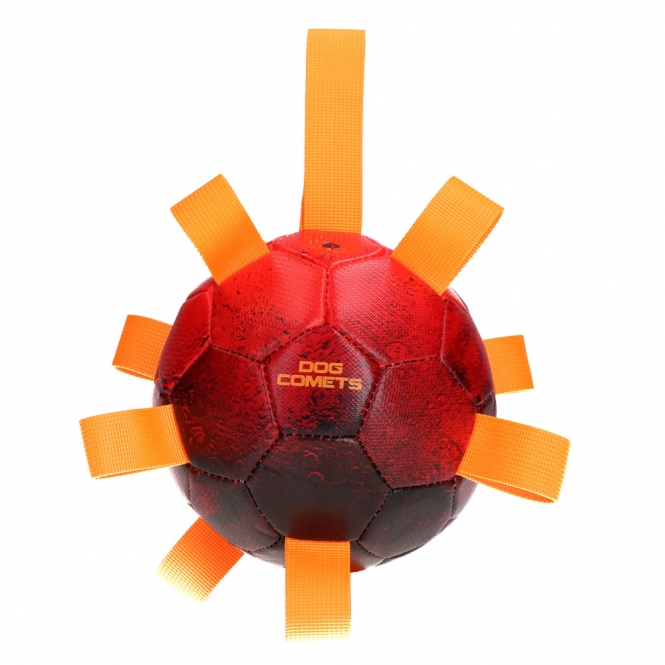Dog Comets Ball Hypernova – Bild 5