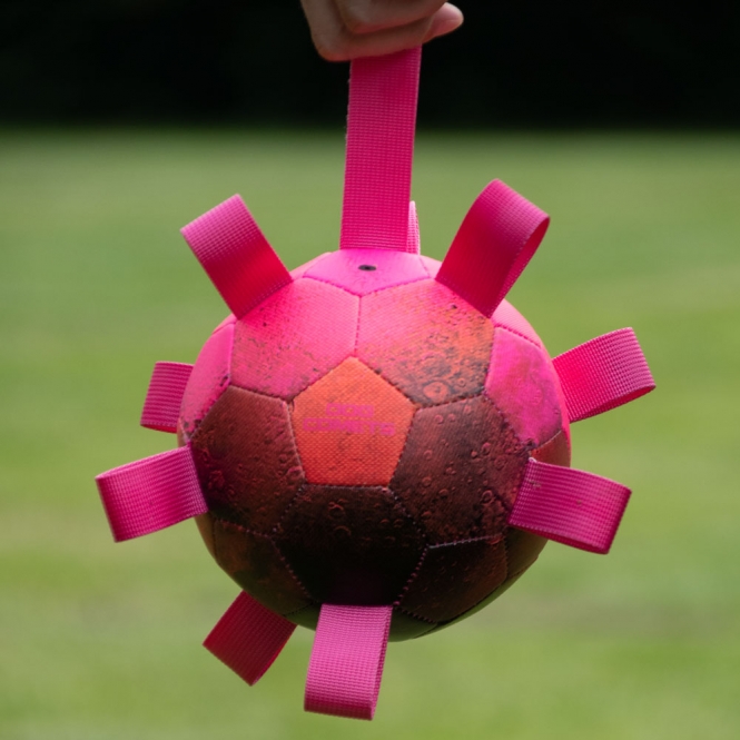 Dog Comets Ball Hypernova – Bild 2