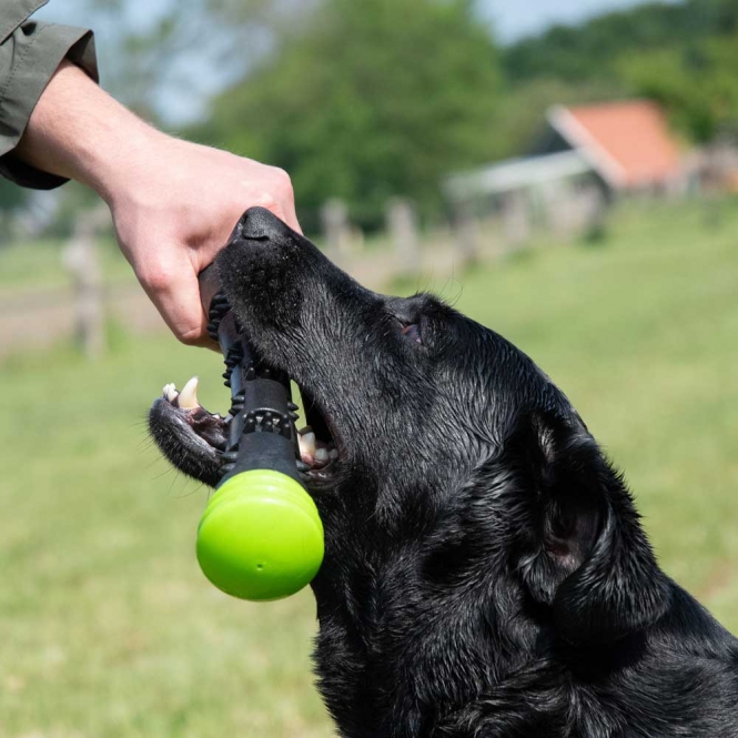 Dog Comets Meteor Wurfstock – Bild 5