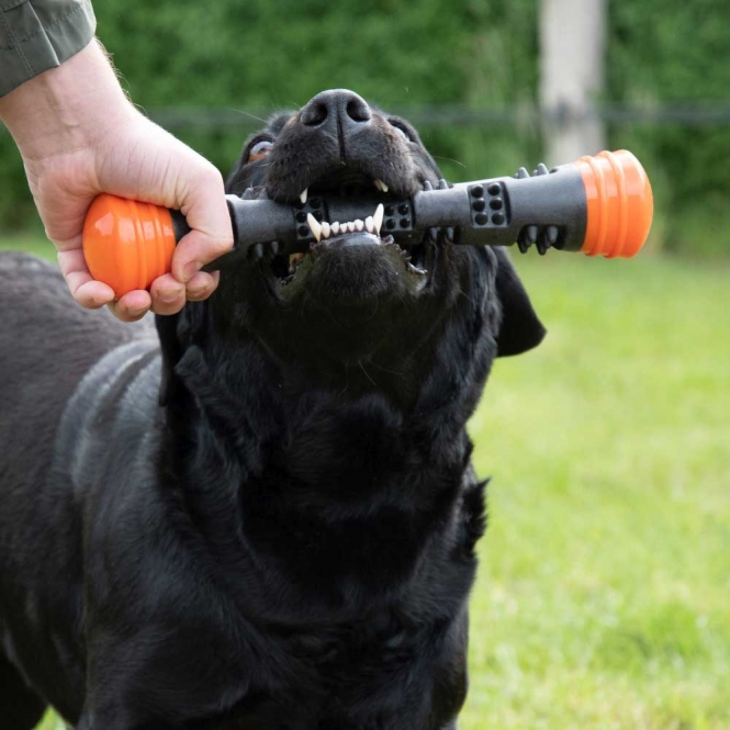 Dog Comets Meteor Wurfstock – Bild 2