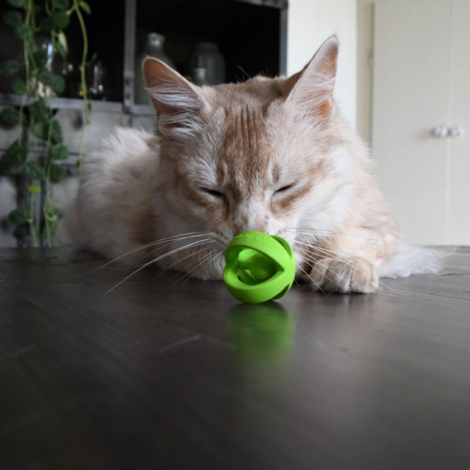 Crazy Cat Wacky Wobbler Grün – Bild 5