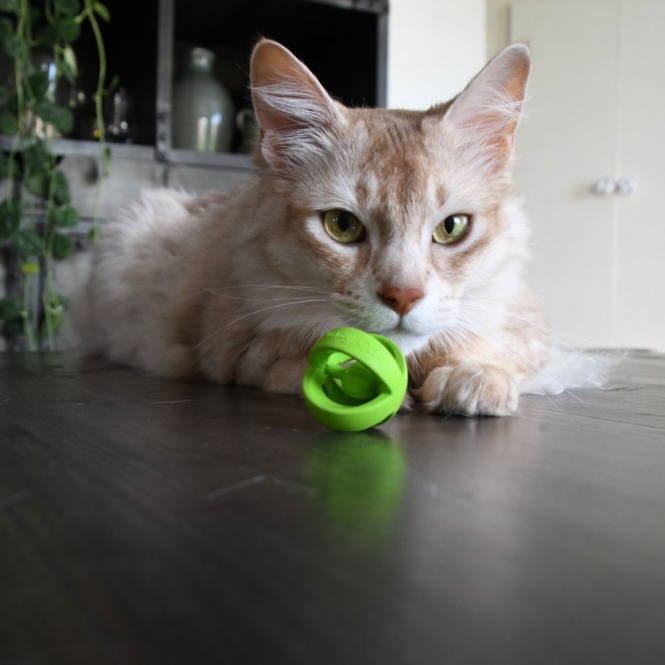 Crazy Cat Wacky Wobbler Grün – Bild 6