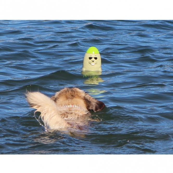 DOOG Seal - Lieutenant Flipper – Bild 2