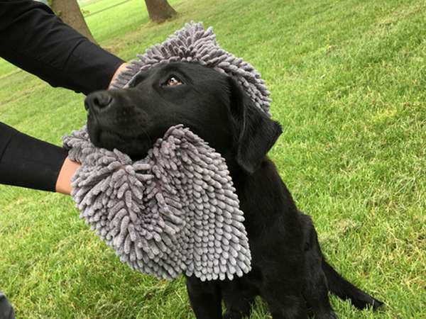 Doggy Dry Towel Hundehandtuch – Bild 5