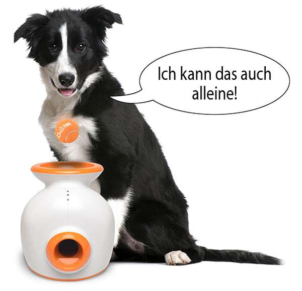 Doggy Fun Ballwurfmaschine – Bild 4