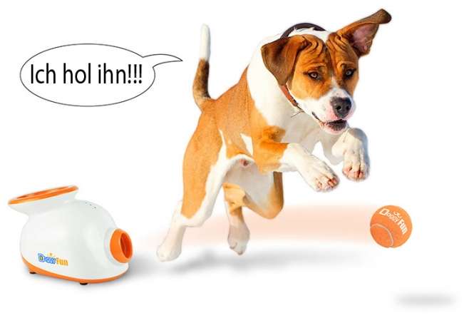 Doggy Fun Ballwurfmaschine – Bild 5