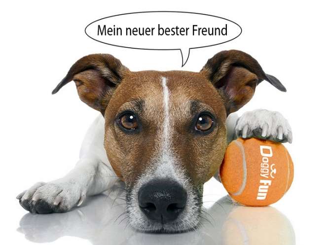 Doggy Fun Ballwurfmaschine – Bild 2