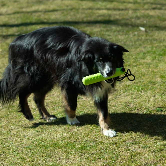 PROCYON Magic Treat Dummy – Bild 5