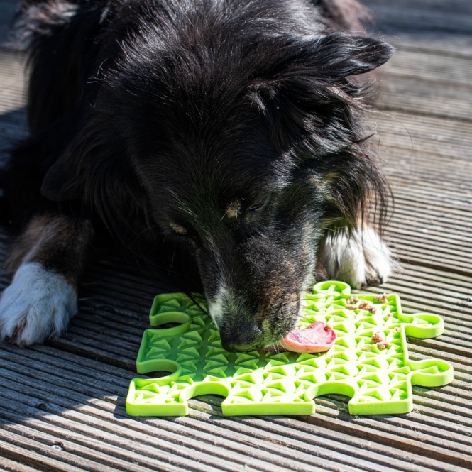 PROCYON Ladi Mat Schleckplatte Puzzle – Bild 5