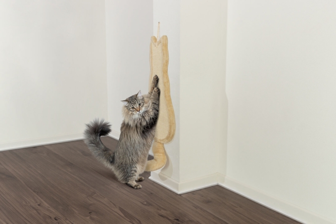 Trixie Kratzbrett Katze – Bild 3