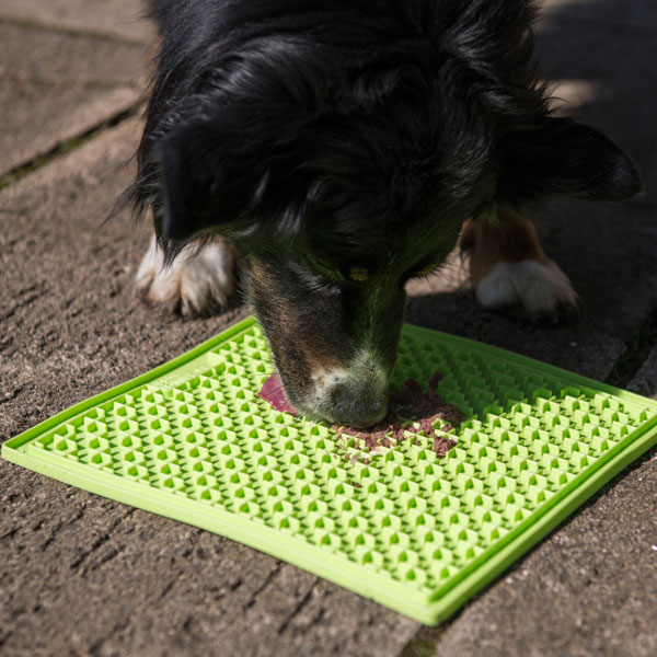 Industripet LickiMat Buddy Large - Grün – Bild 2