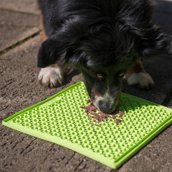 Industripet LickiMat Buddy Large - Grün – Bild 3