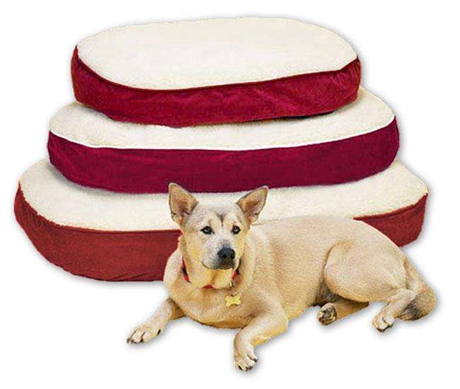 Pet-Star Liegekissen SLEEPY