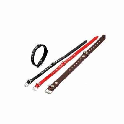 Karlie RONDO Halsband mit Ziernieten - Rot