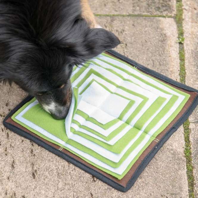 PROCYON Schnüffelpyramide – Bild 2